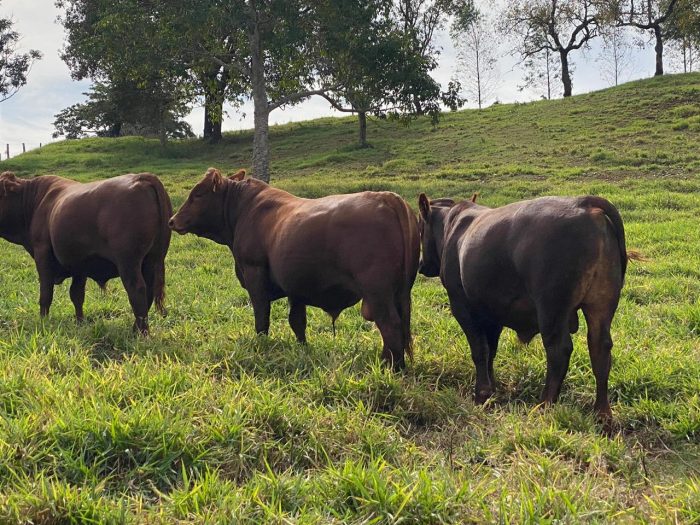 2462f799-12b0-4886-87e7-35a4aef0c4bc