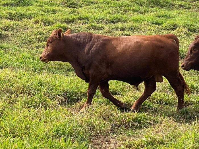 3fc5f07c-b9ea-457f-ac8f-2e43383120d5