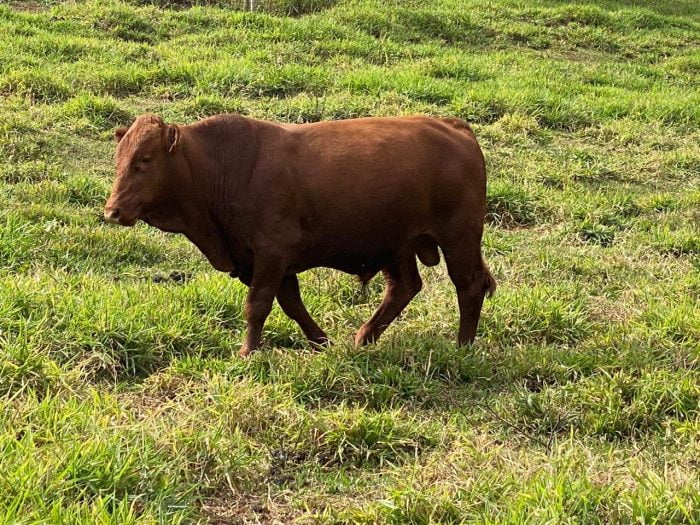 6b6ba44c-18fc-45b8-81ad-54e873090fbe