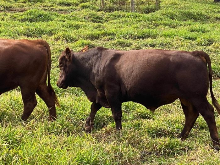 7fa5ed1b-5424-4742-b34a-23119b57694c