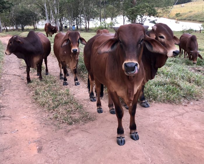 D27F3FE2-3338-4C1C-9E49-8FE61B873186