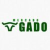 TaticWeb Direção