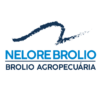 Nelore Brolio