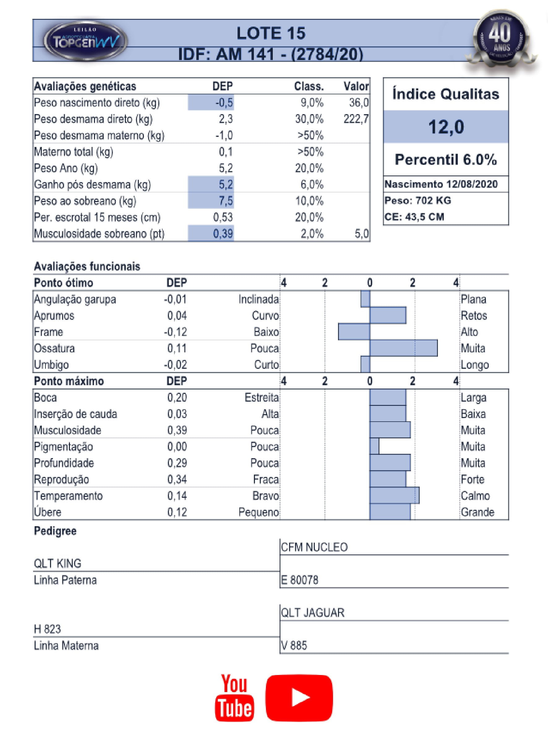 Leilão TopGen 2023 | LOTE 15 - Image 2