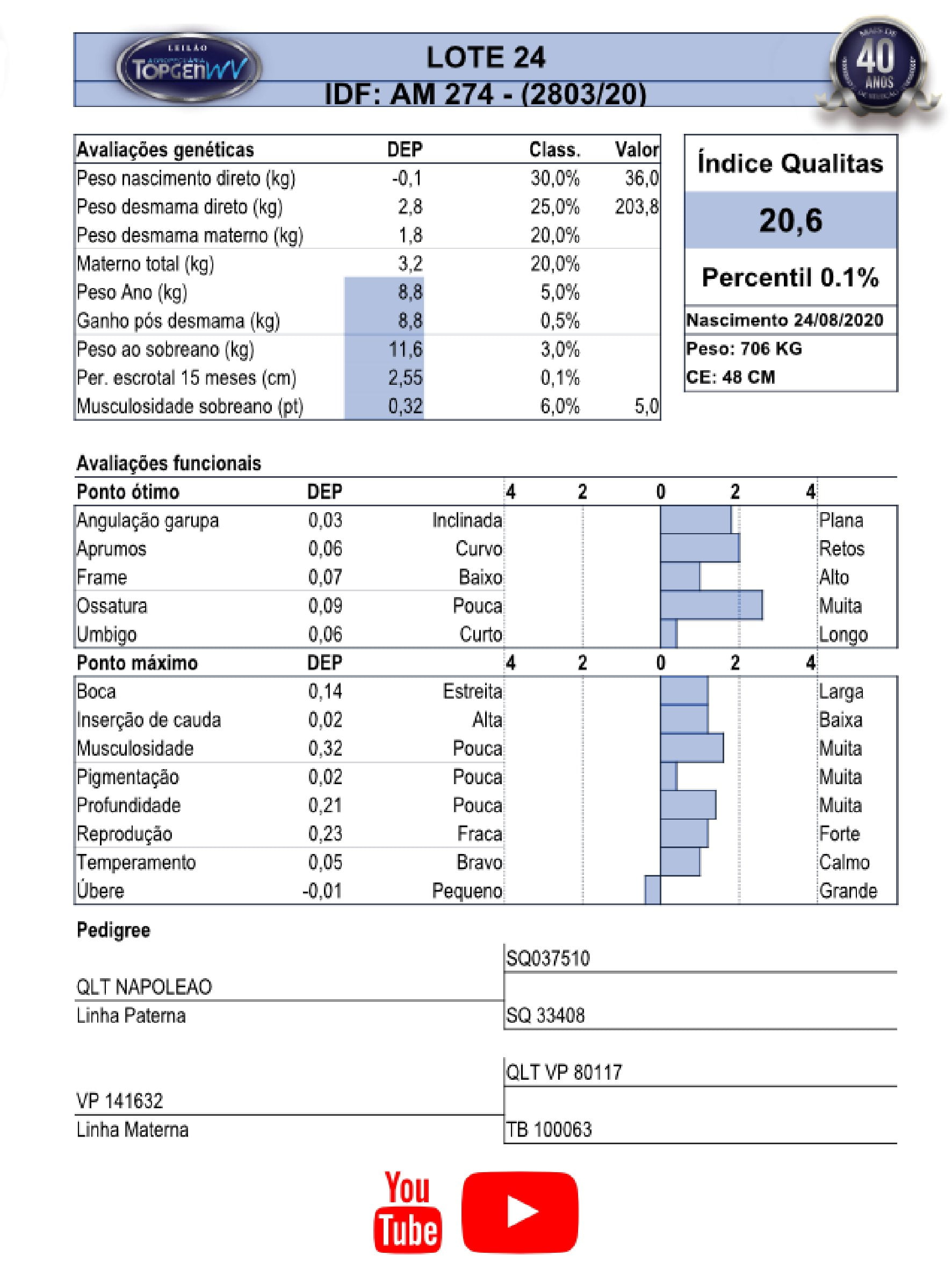 Leilão TopGen 2023 | LOTE 24 - Image 2
