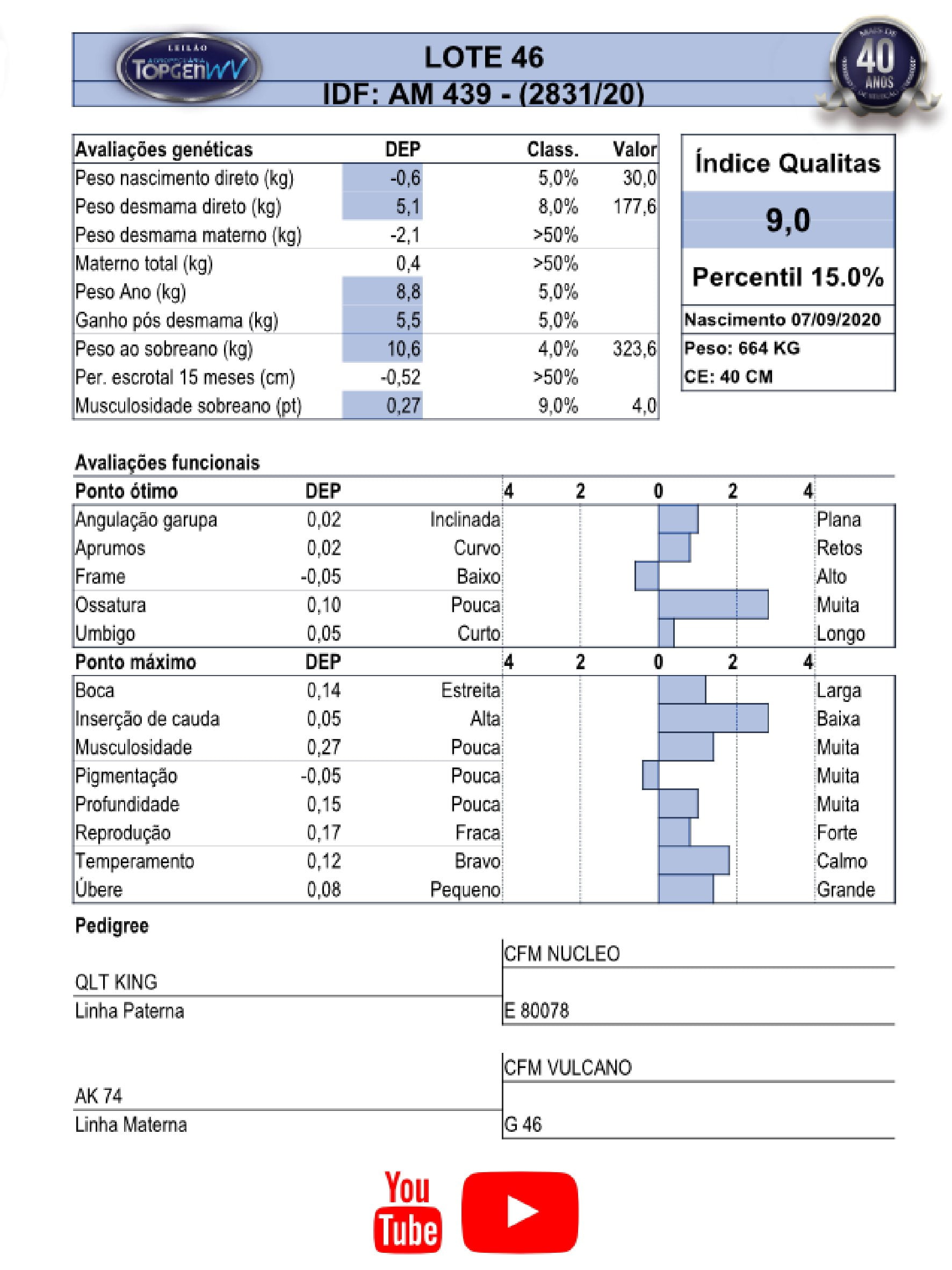 Catalogo_Machos LEILÃO TOP GEN-047