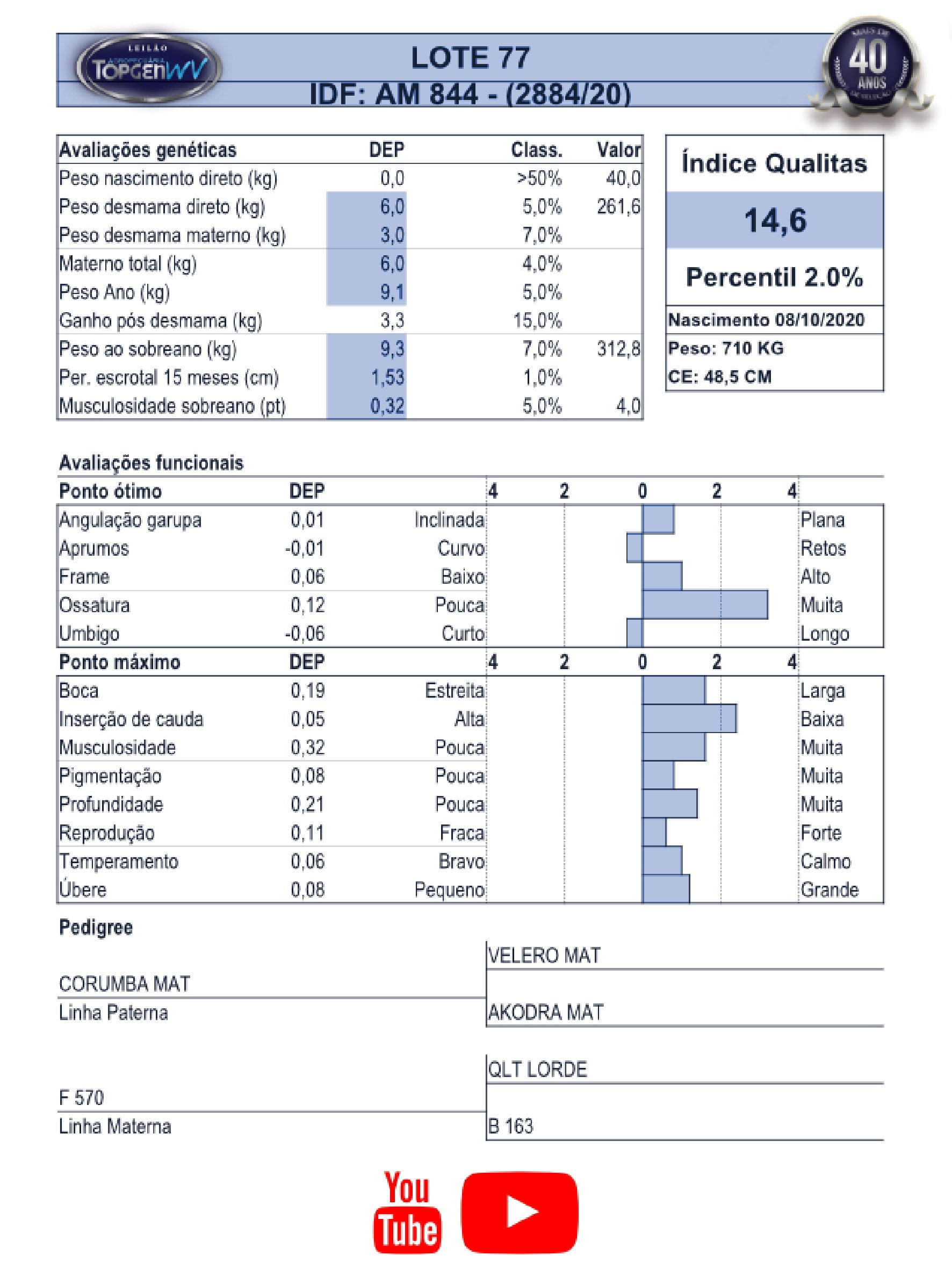 Catalogo_Machos LEILÃO TOP GEN-078