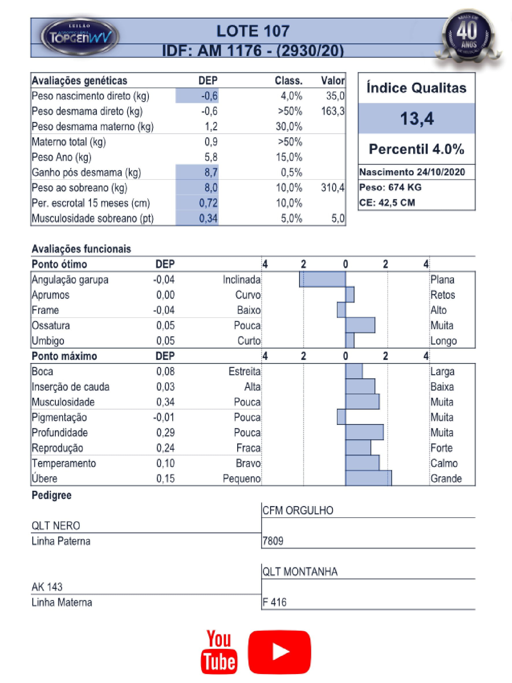 Catalogo_Machos LEILÃO TOP GEN-108