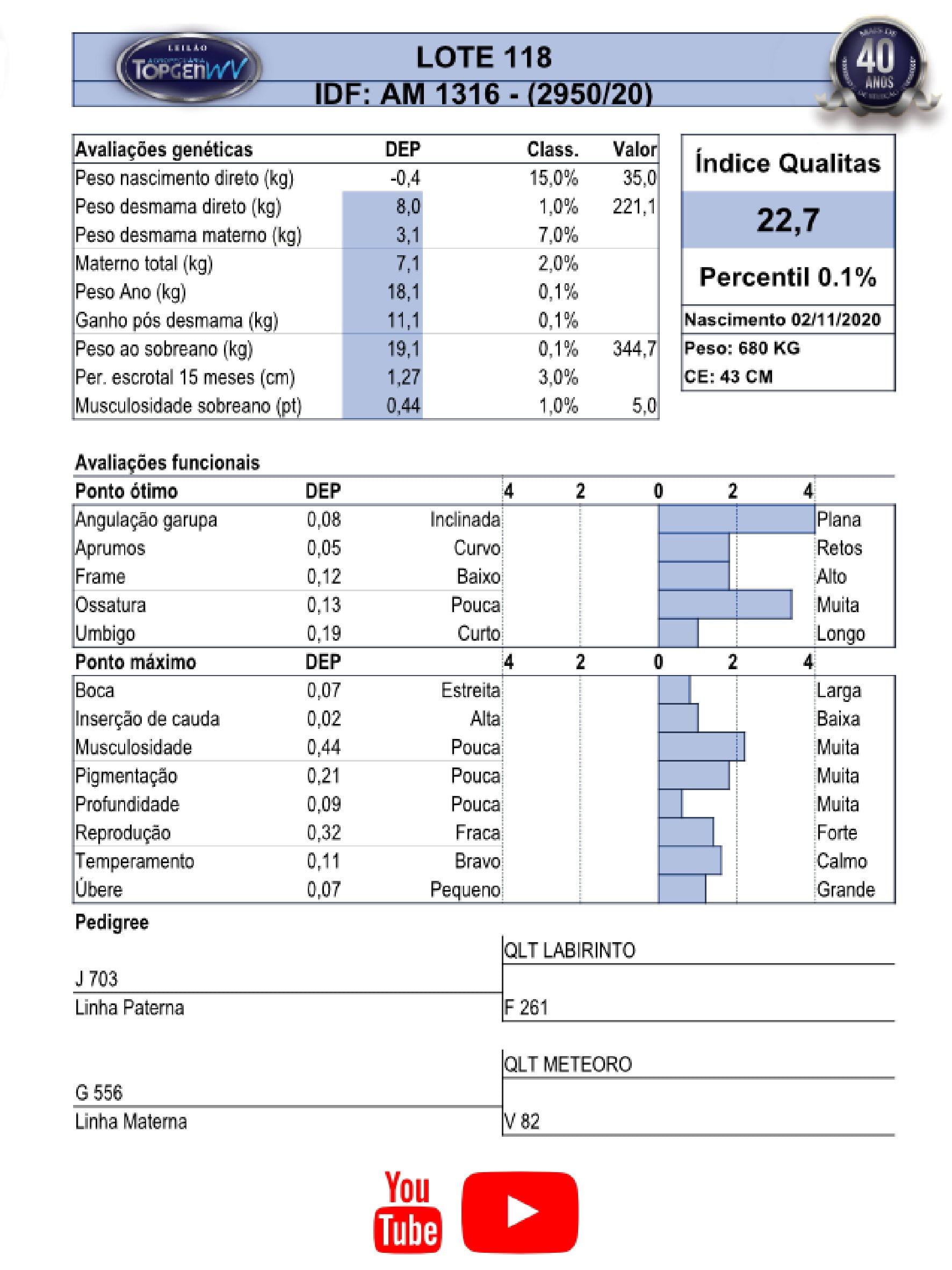 Catalogo_Machos LEILÃO TOP GEN-119