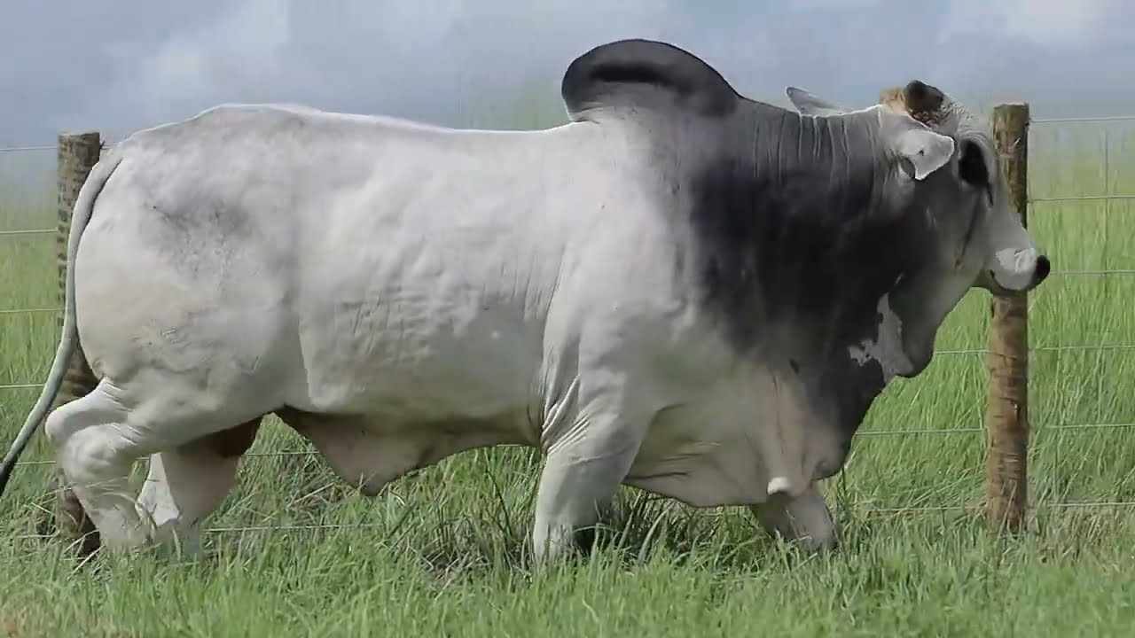 VideoScreenshot--YouTube-LOTE127AM1440-0’26”