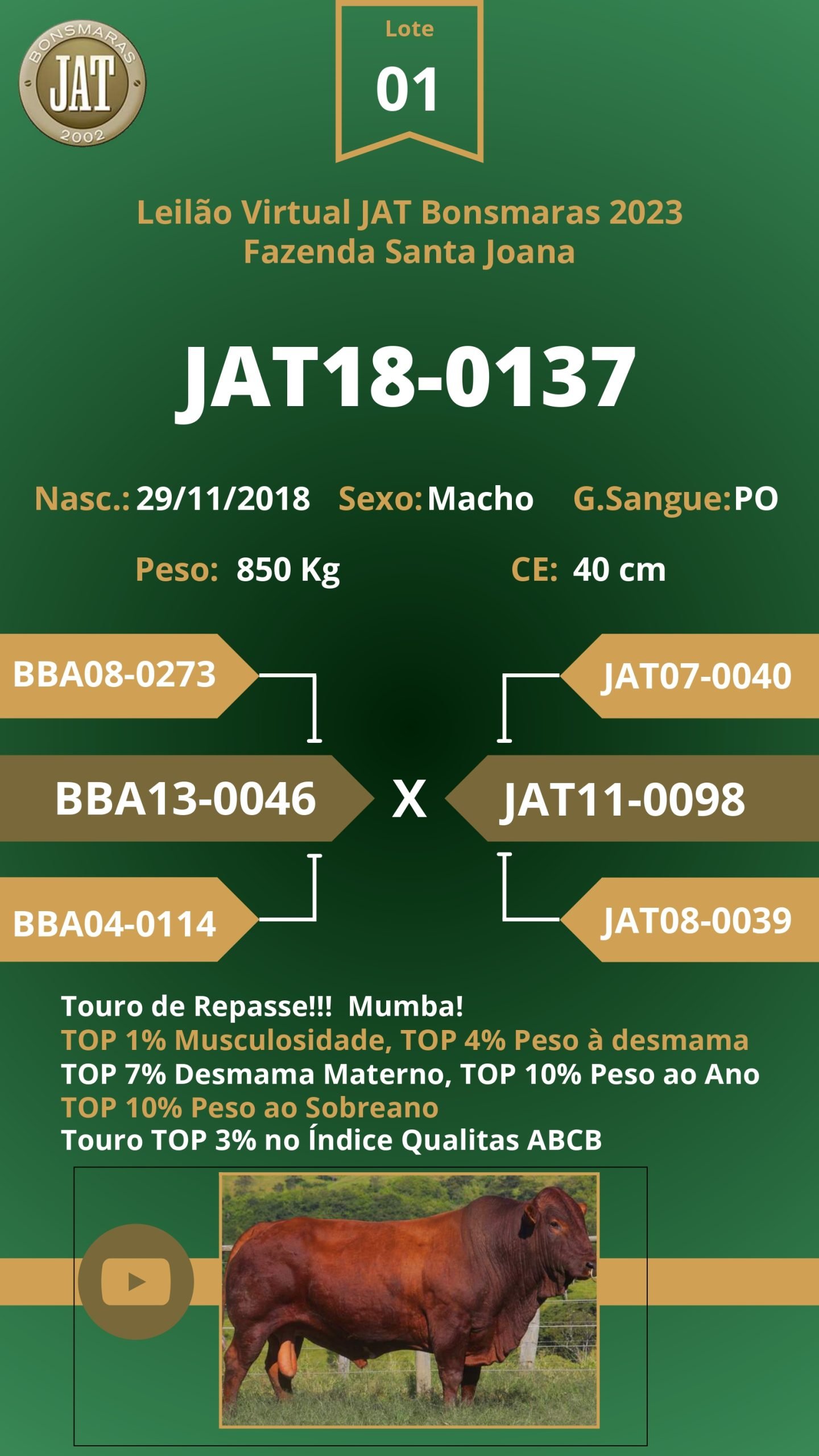 Catálogo - Leilão JAT BONSMARAS 2023_page-0002