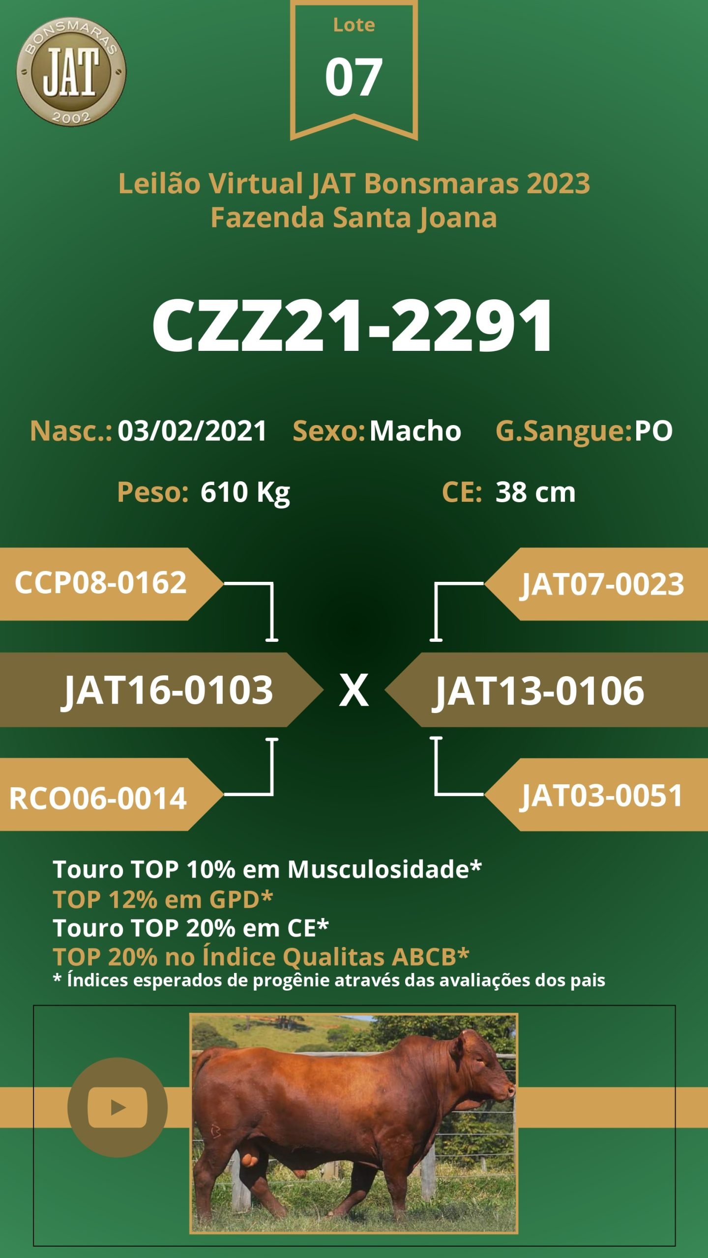 Leilão Jat 2023 - LOTE 007 - Image 2