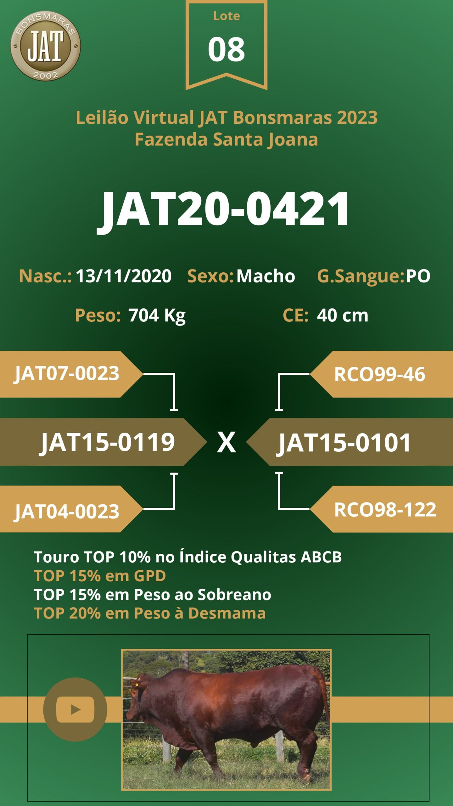 Catálogo - Leilão JAT BONSMARAS 2023_page-0009