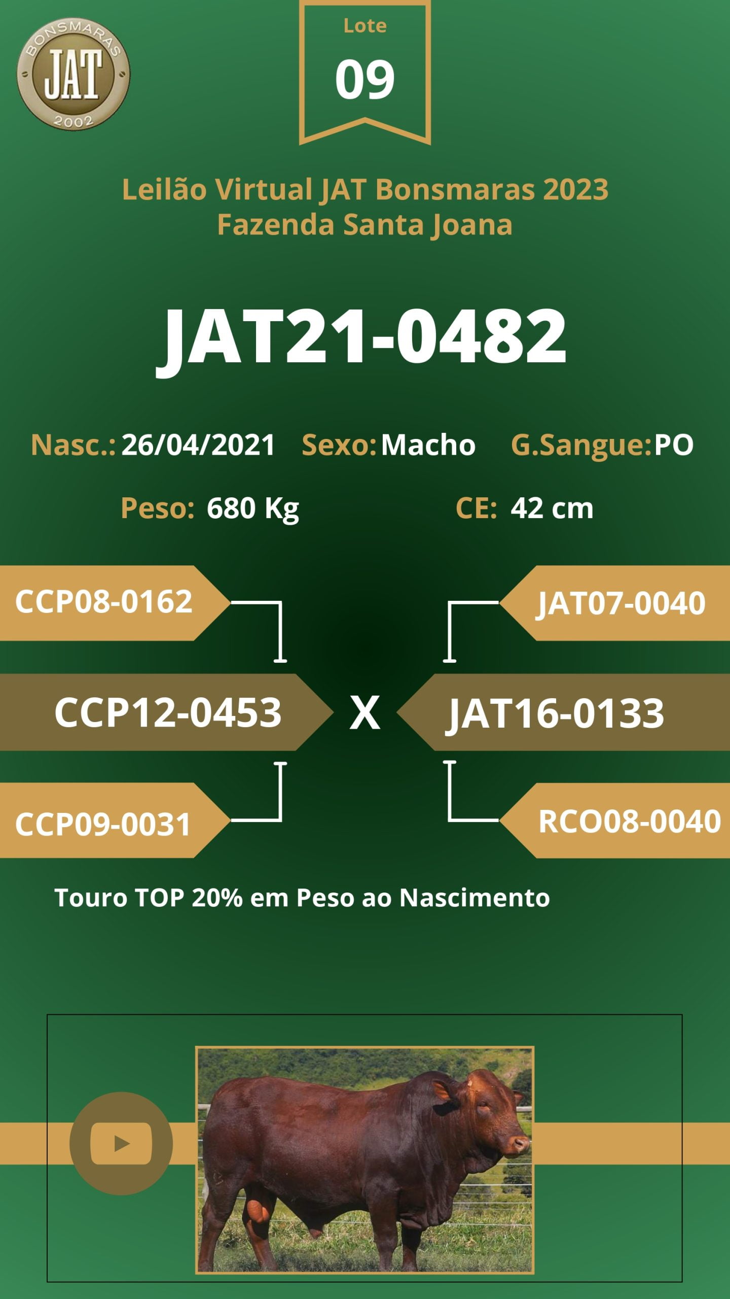 Catálogo - Leilão JAT BONSMARAS 2023_page-0010