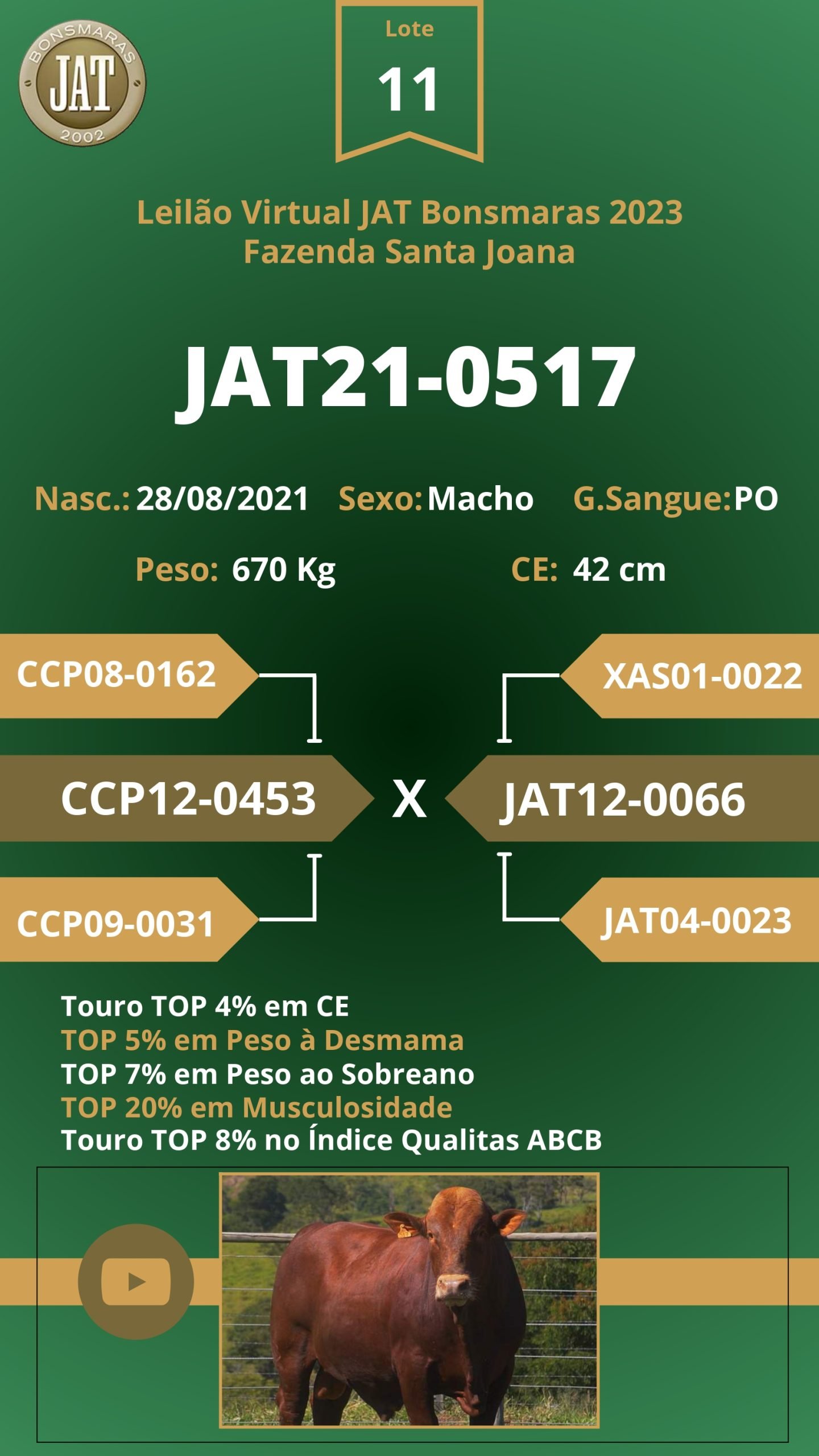 Catálogo - Leilão JAT BONSMARAS 2023_page-0012