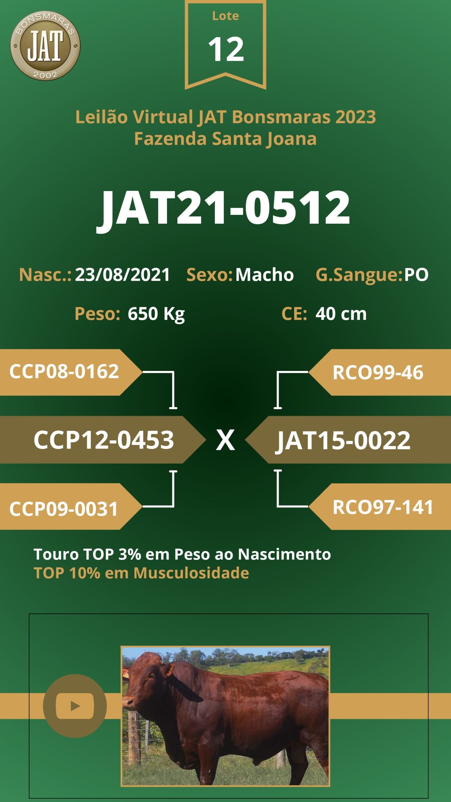 Catálogo - Leilão JAT BONSMARAS 2023_page-0013