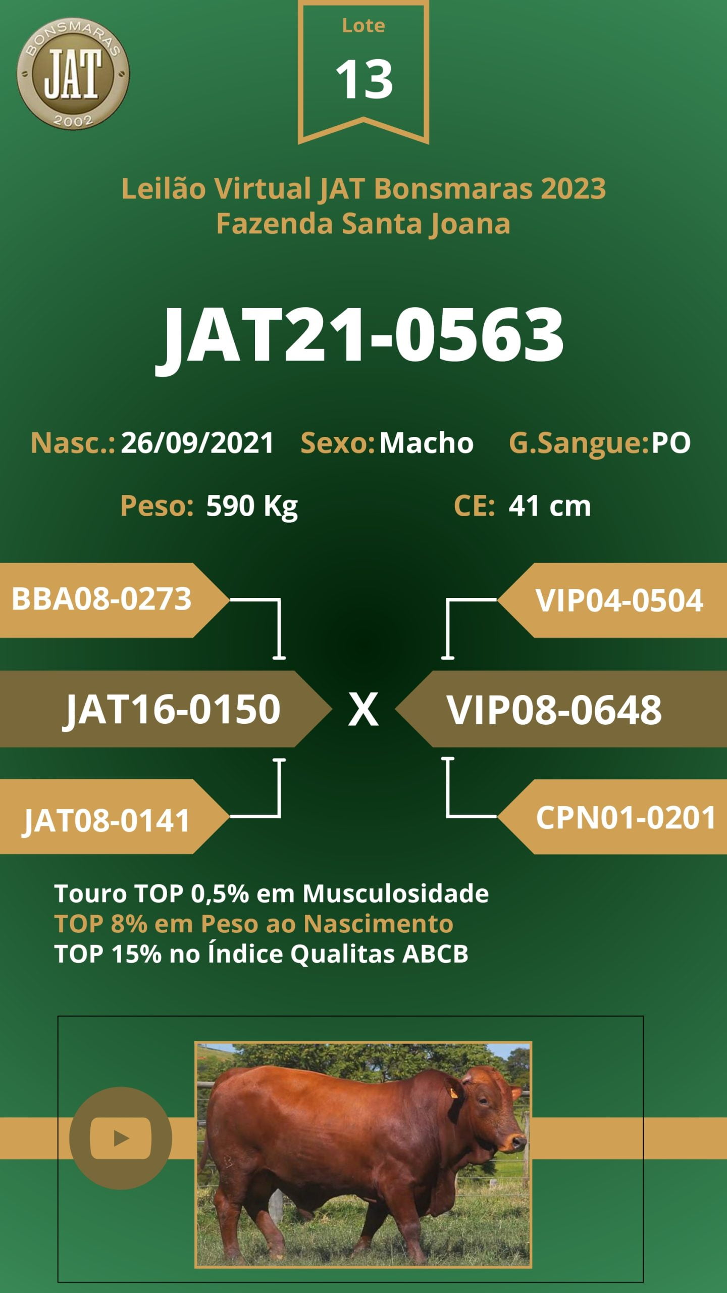 Catálogo - Leilão JAT BONSMARAS 2023_page-0014