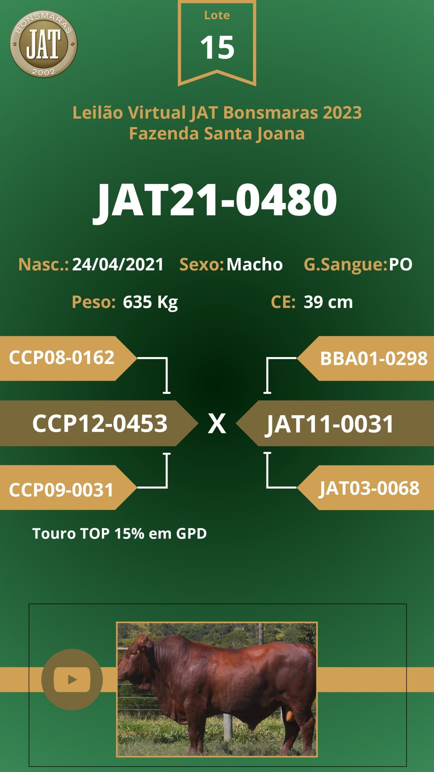Catálogo - Leilão JAT BONSMARAS 2023_page-0016