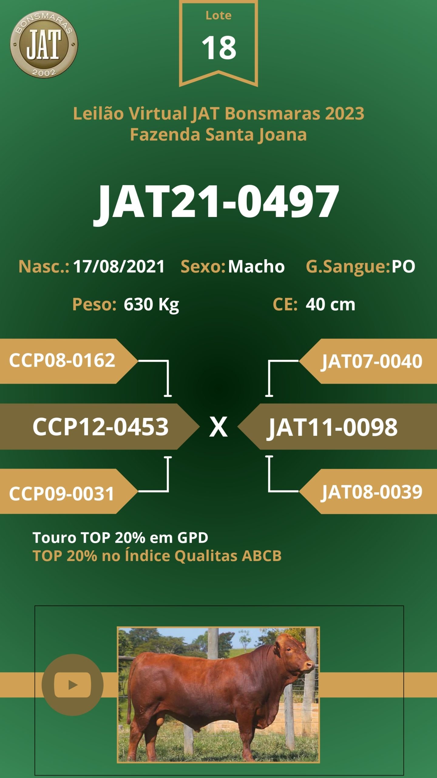 Catálogo - Leilão JAT BONSMARAS 2023_page-0019