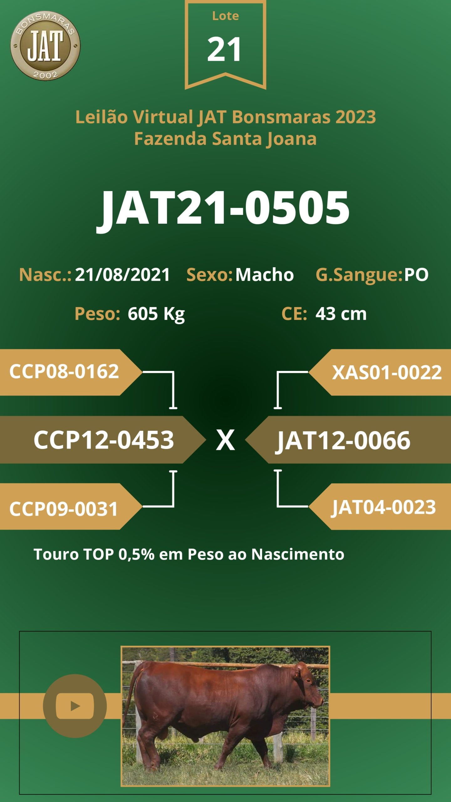 Catálogo - Leilão JAT BONSMARAS 2023_page-0022