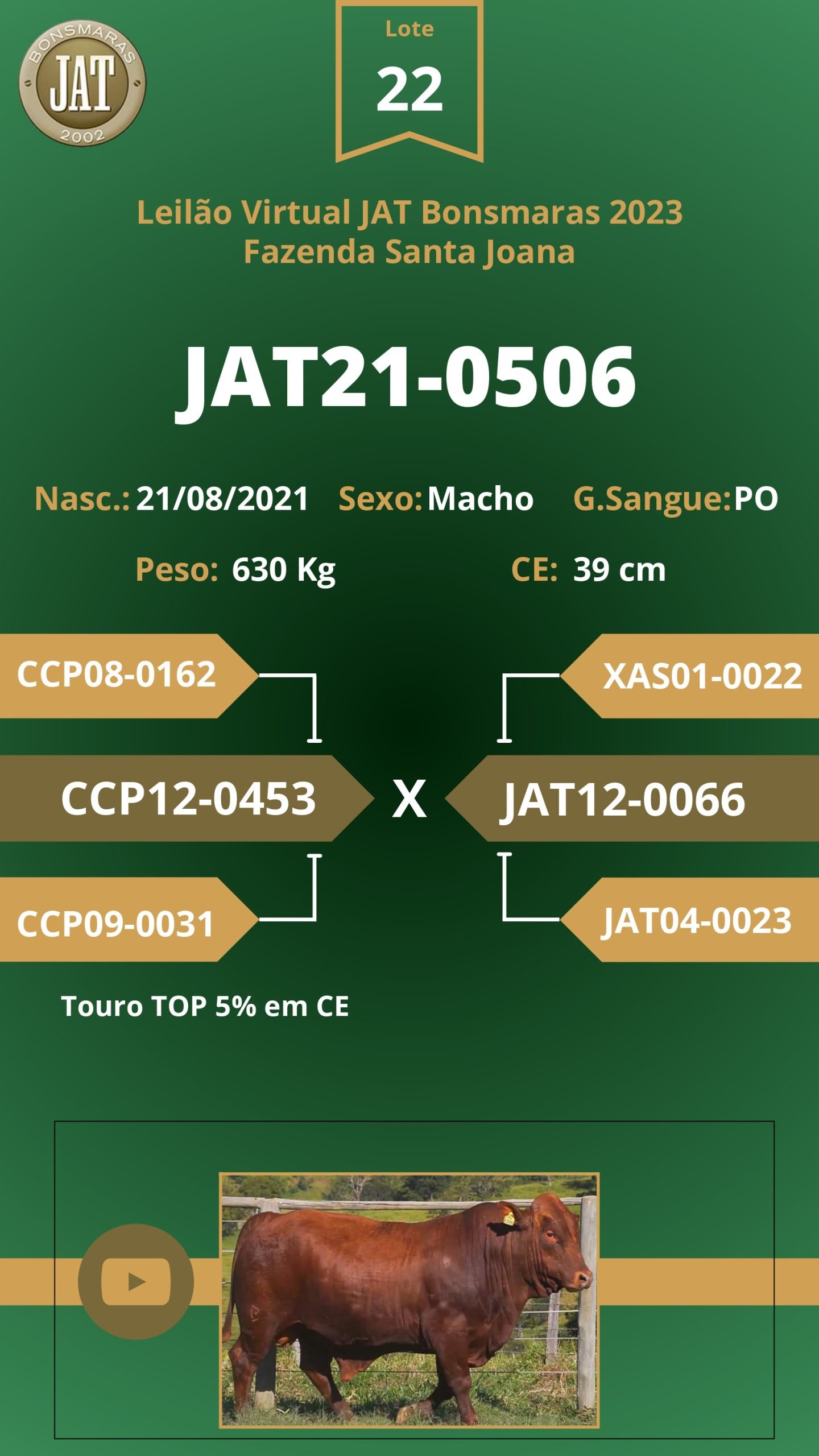 Catálogo - Leilão JAT BONSMARAS 2023_page-0023