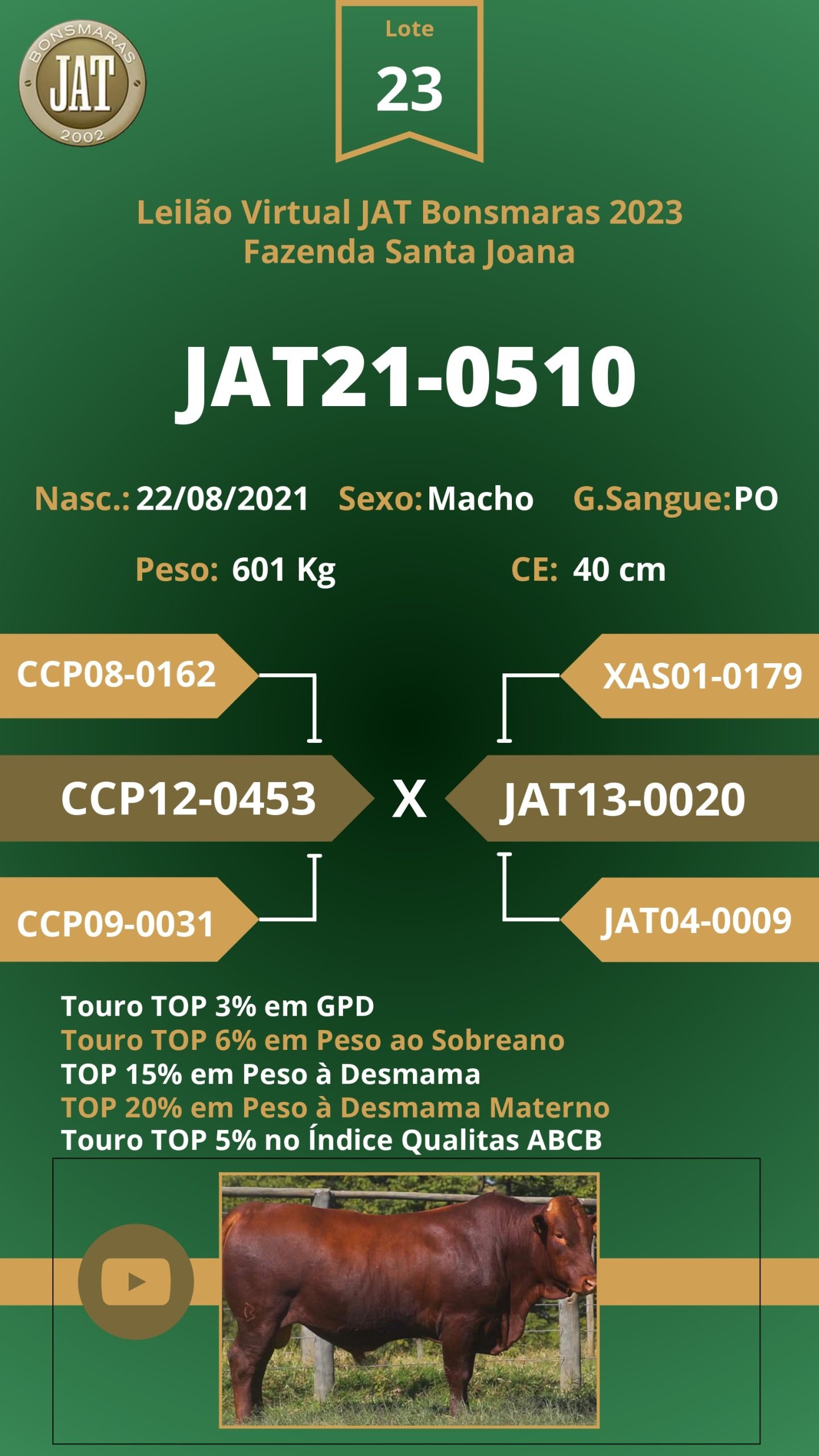 Leilão Jat 2023 - LOTE 023 - Image 2
