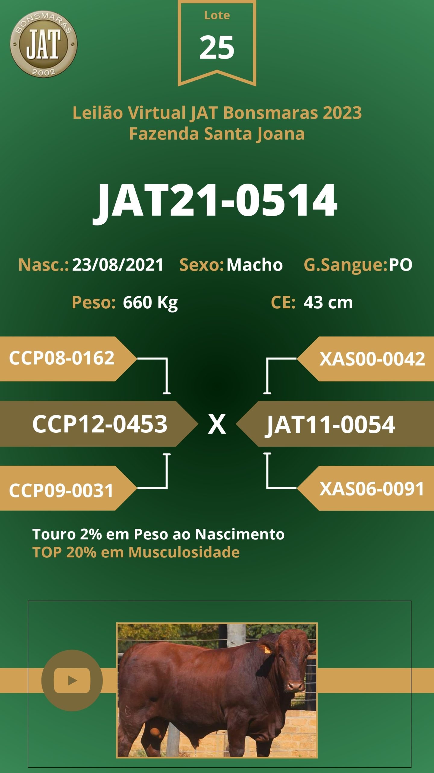Catálogo - Leilão JAT BONSMARAS 2023_page-0026