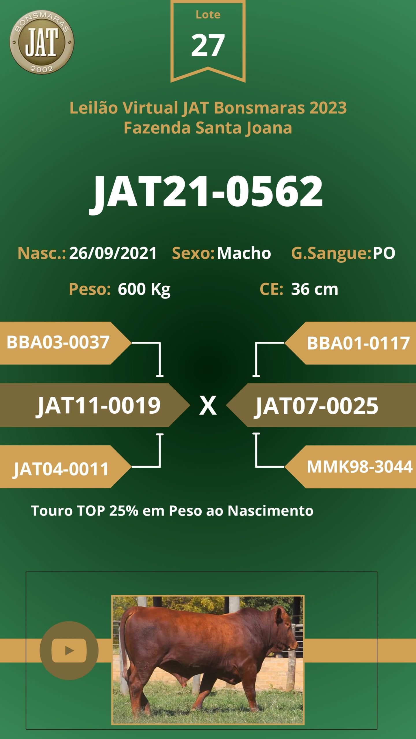 Catálogo - Leilão JAT BONSMARAS 2023_page-0028