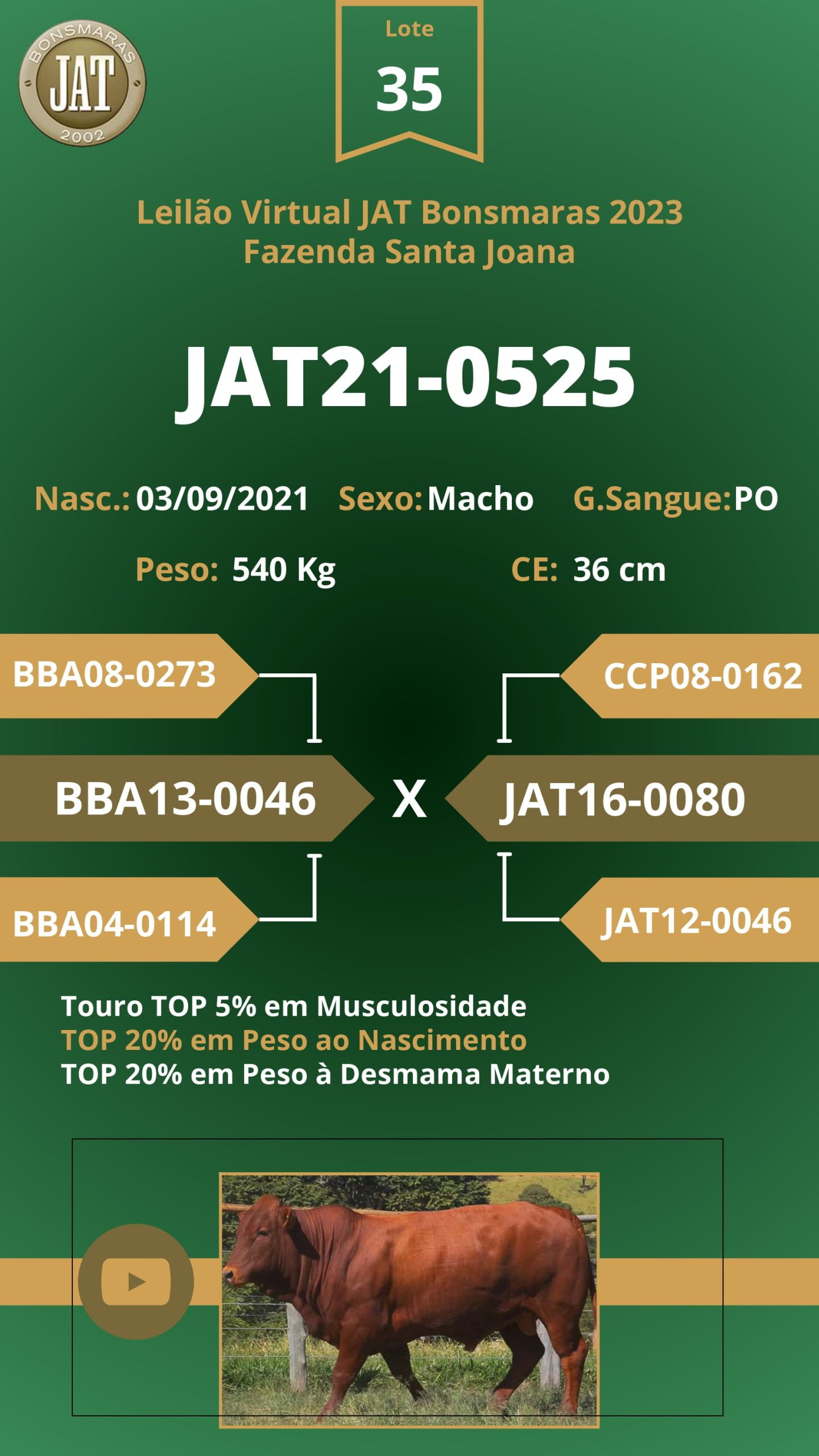 Catálogo - Leilão JAT BONSMARAS 2023_page-0035