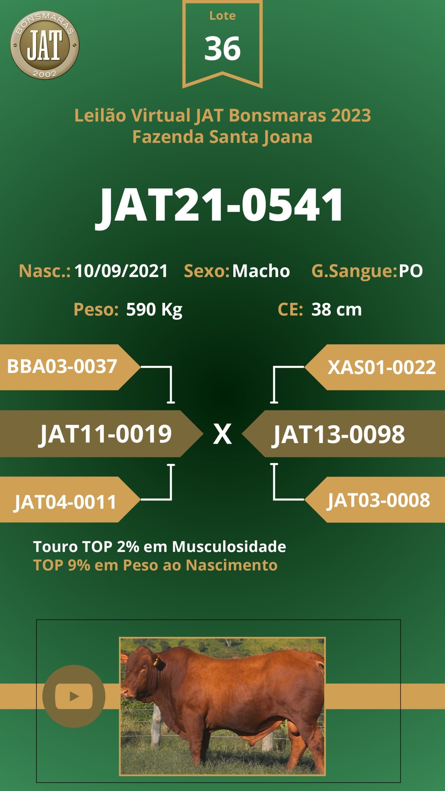 Leilão Jat 2023 - LOTE 036 - Image 2