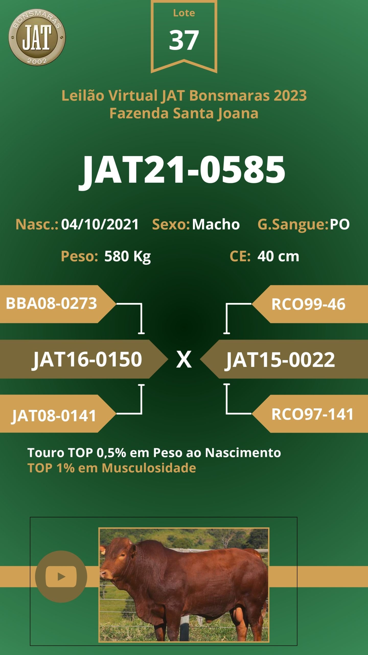 Leilão Jat 2023 - LOTE 037 - Image 2