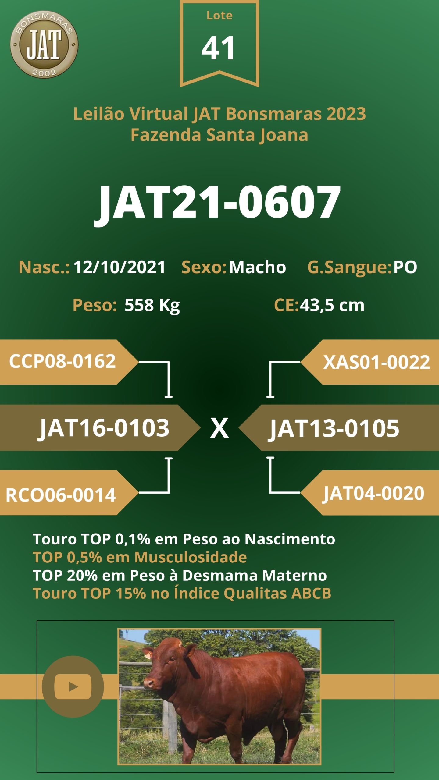 Leilão Jat 2023 - LOTE 041 - Image 2