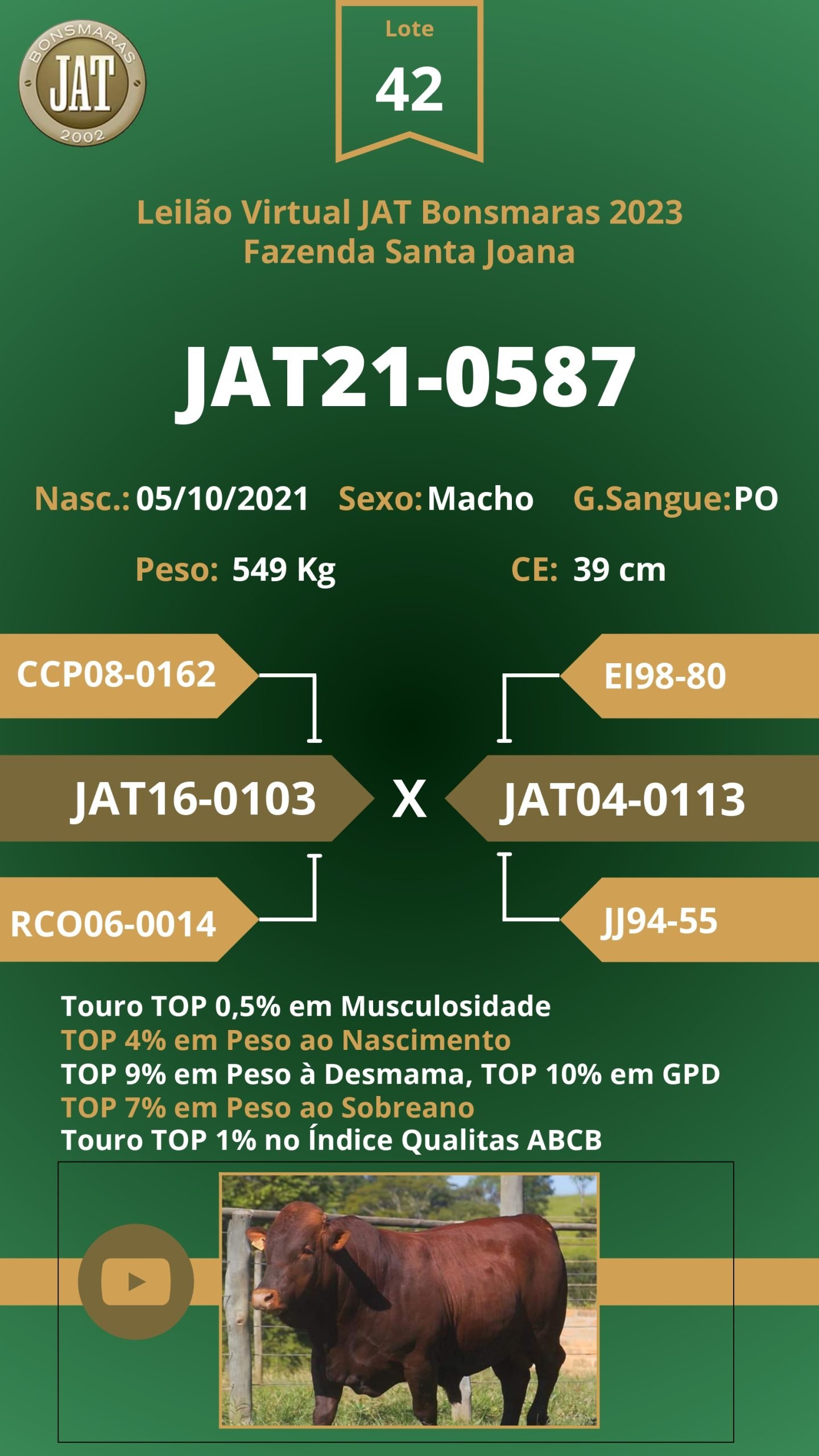 Catálogo - Leilão JAT BONSMARAS 2023_page-0041