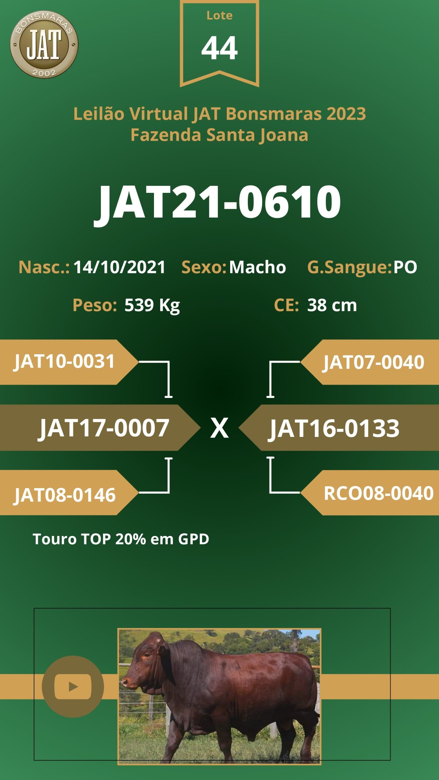 Catálogo - Leilão JAT BONSMARAS 2023_page-0043