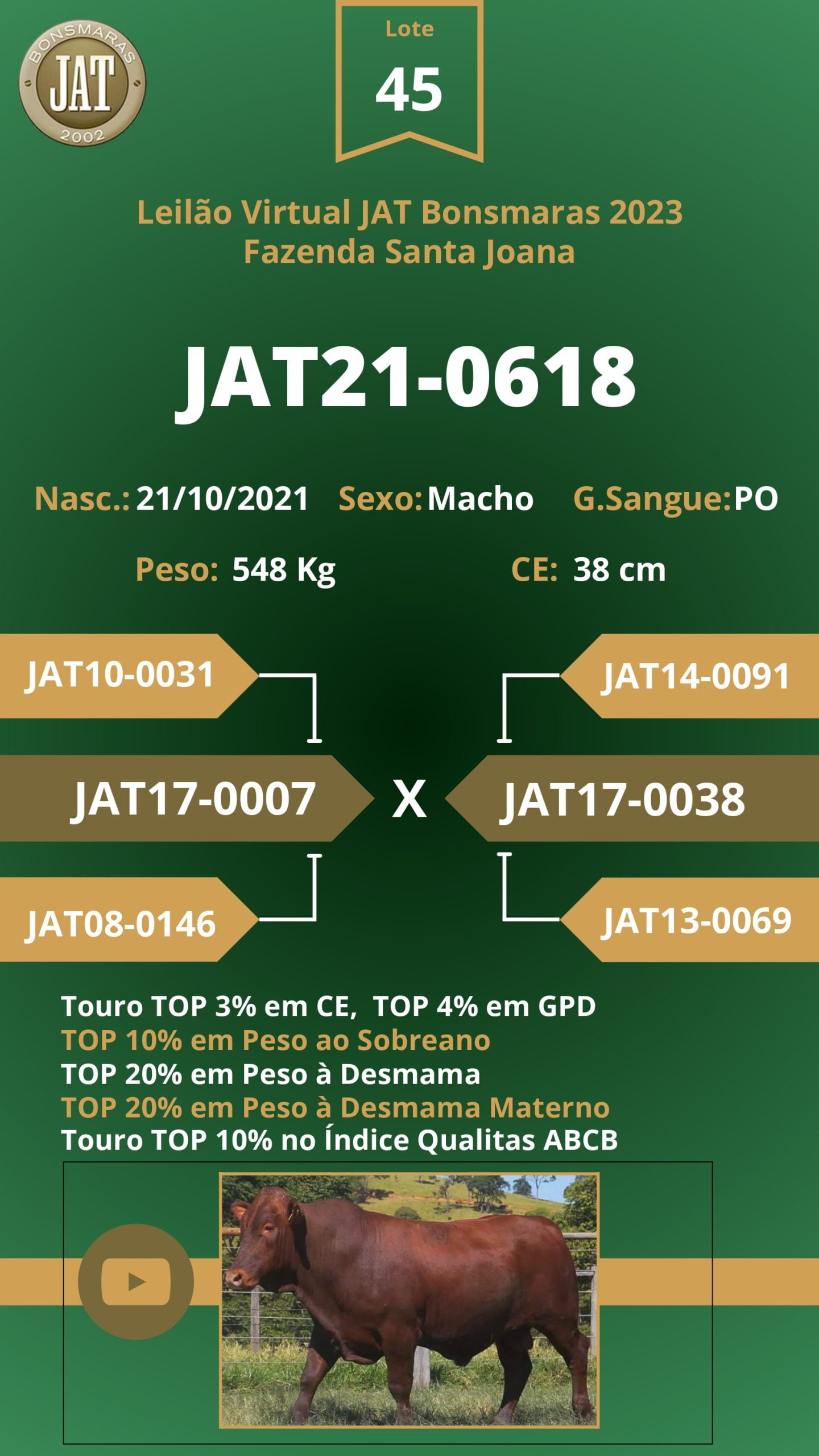 Catálogo - Leilão JAT BONSMARAS 2023_page-0044