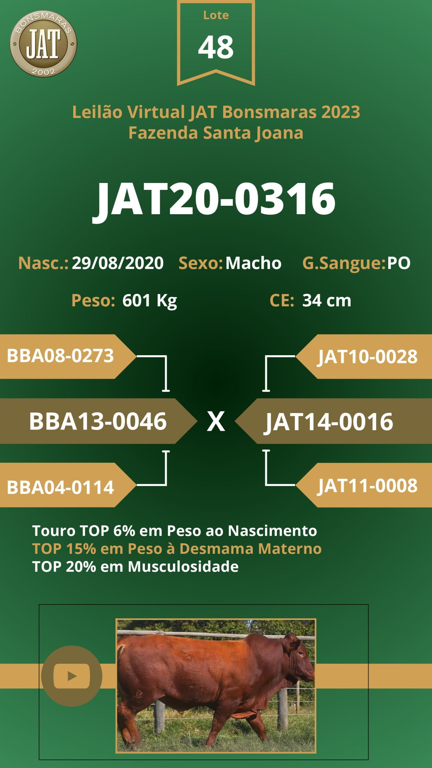 Catálogo - Leilão JAT BONSMARAS 2023_page-0046