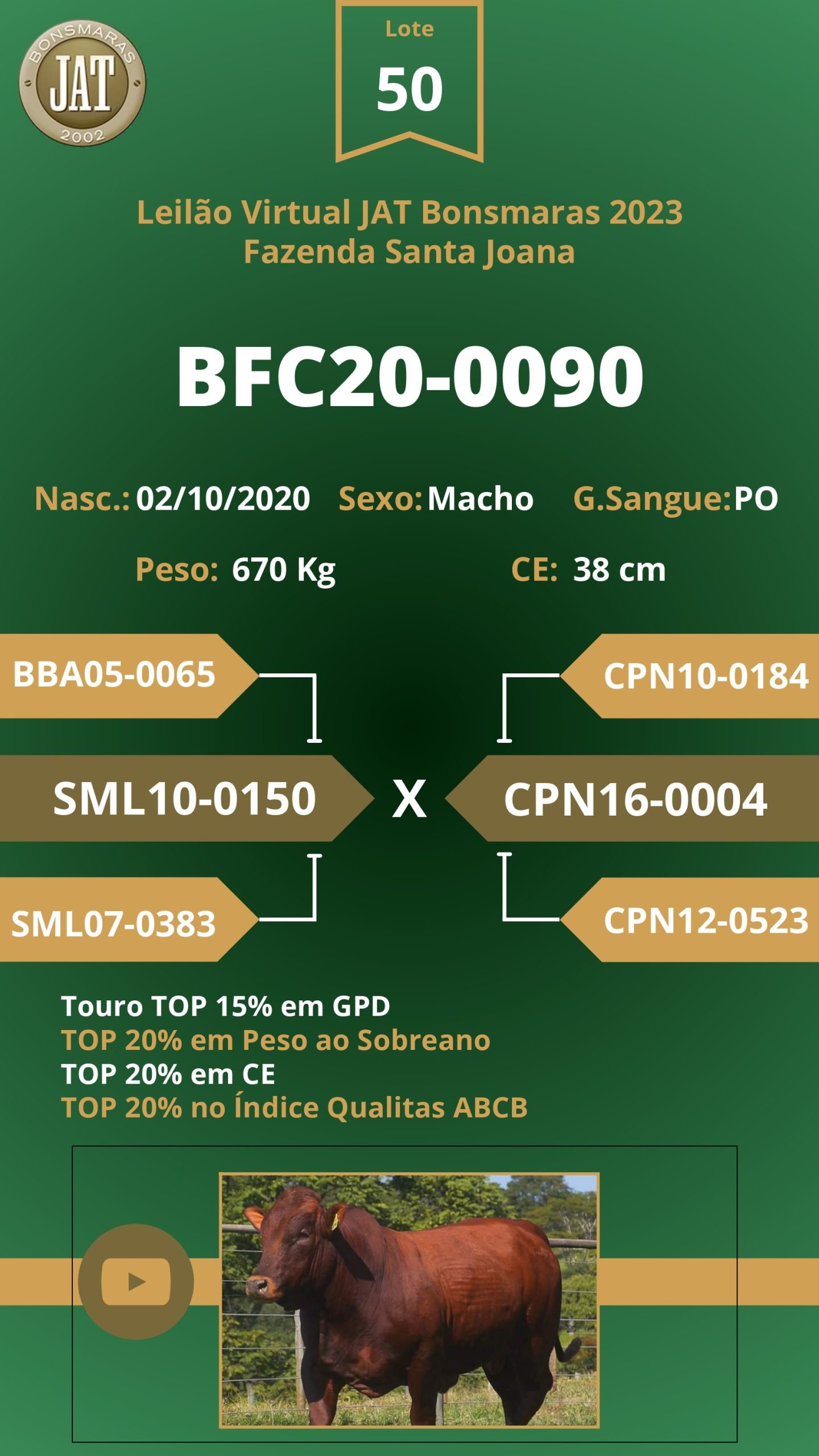 Catálogo - Leilão JAT BONSMARAS 2023_page-0048