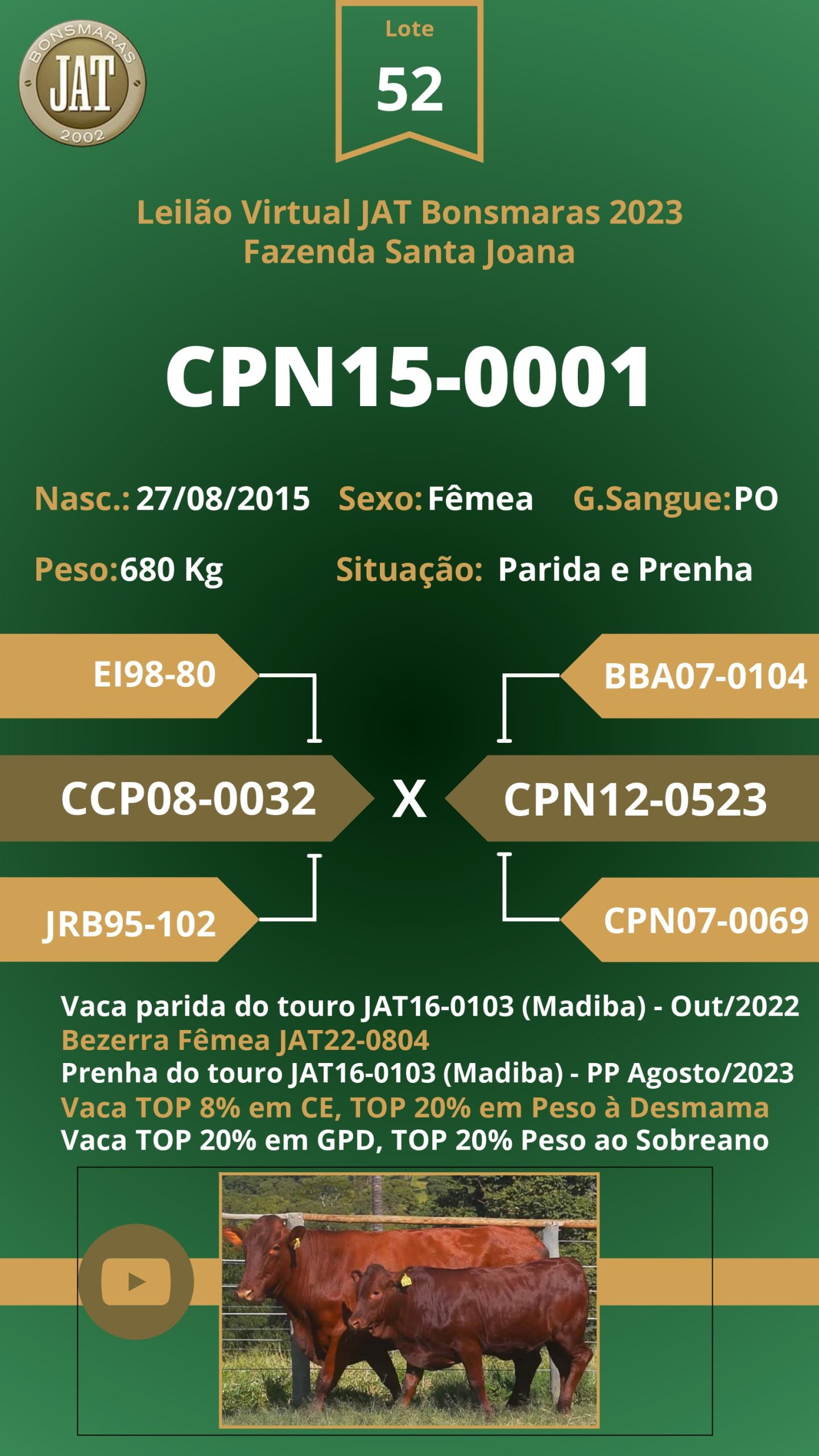 Catálogo - Leilão JAT BONSMARAS 2023_page-0050