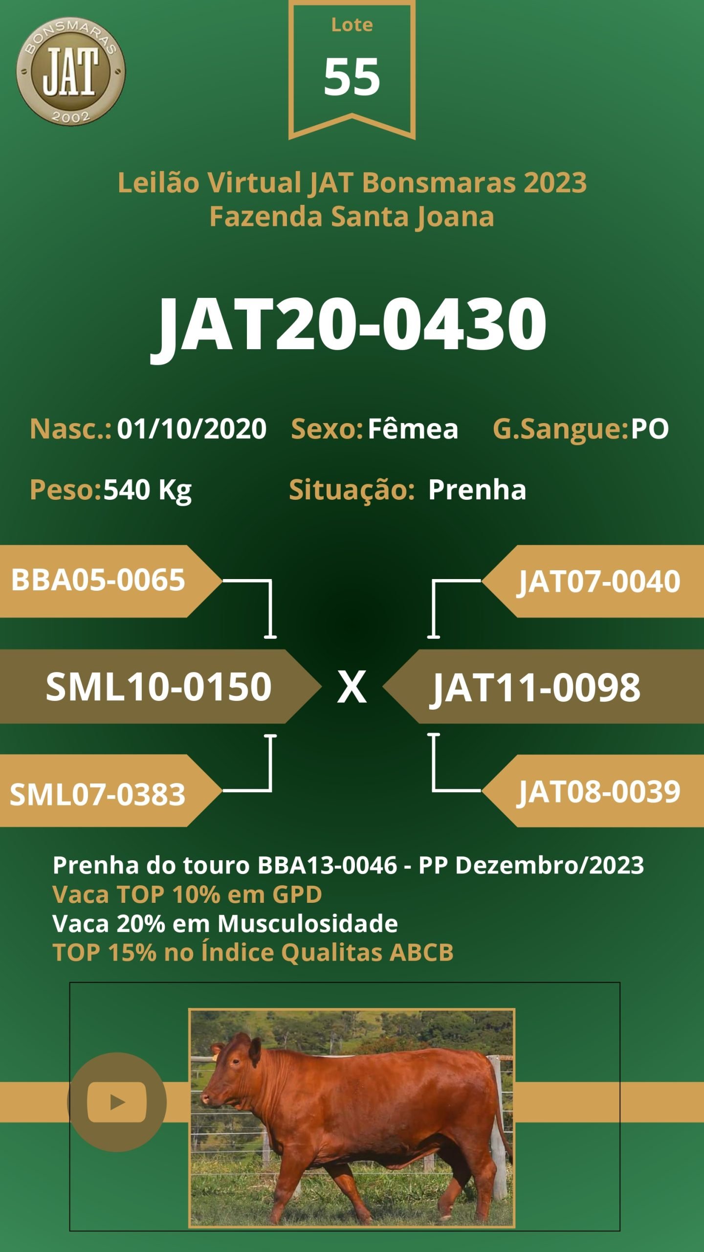 Catálogo - Leilão JAT BONSMARAS 2023_page-0052