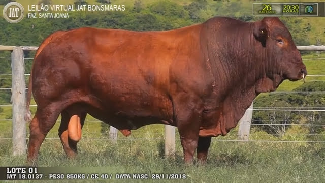 VideoScreenshot--YouTube-LOTE001-0’01”