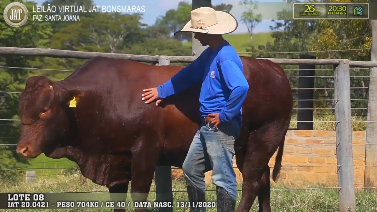 VideoScreenshot--YouTube-LOTE008-0’00”