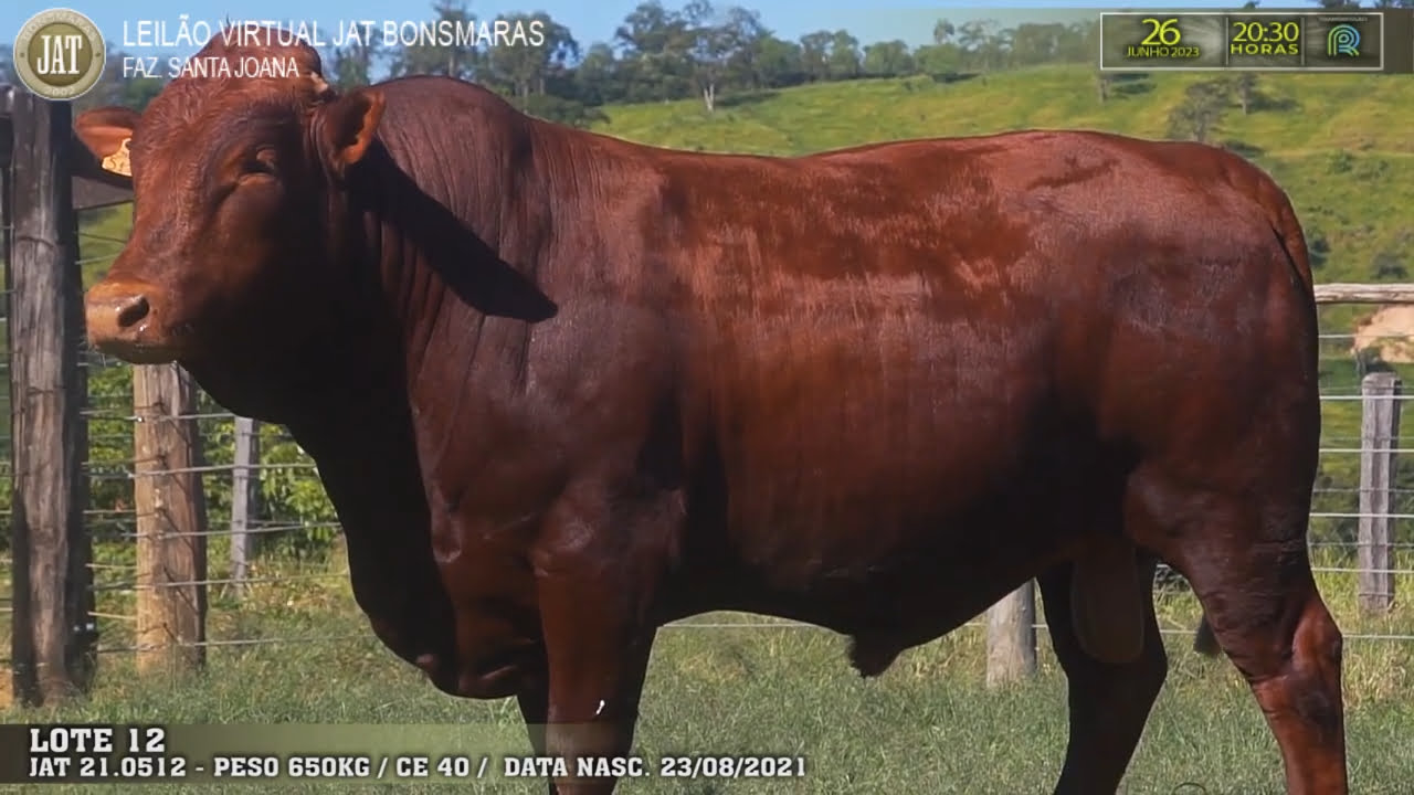 VideoScreenshot--YouTube-LOTE012-0’01”