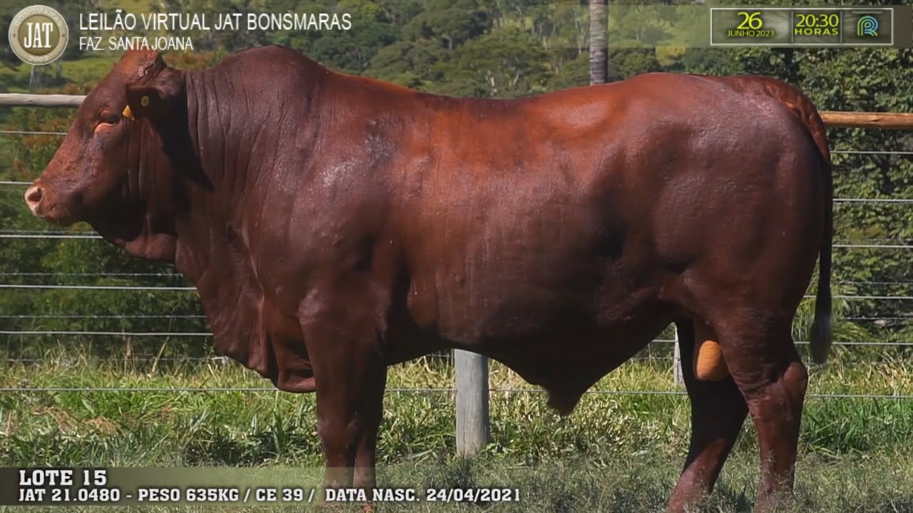 VideoScreenshot--YouTube-LOTE015-0’01”