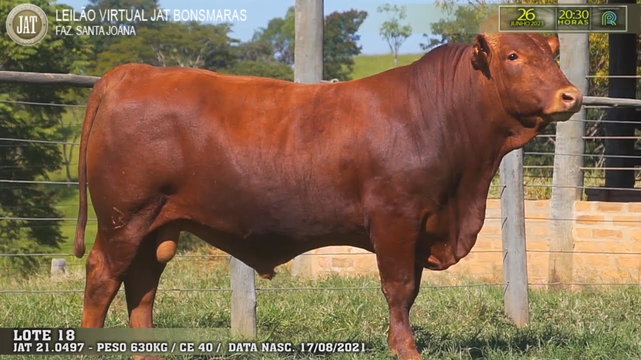 VideoScreenshot--YouTube-LOTE018-0’01”