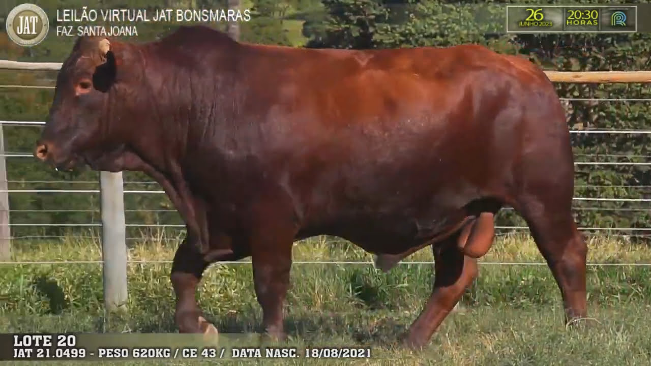 VideoScreenshot--YouTube-LOTE020-0’16”