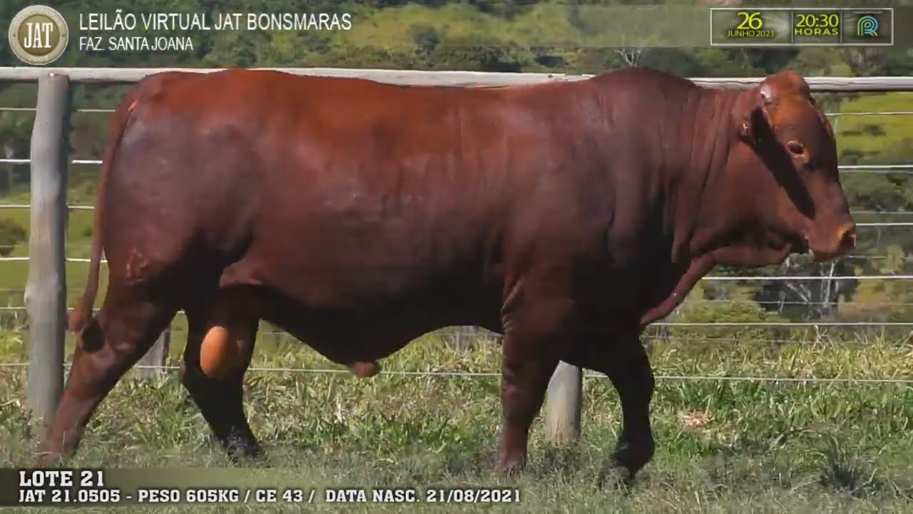 VideoScreenshot--YouTube-LOTE021-0’00” (1)