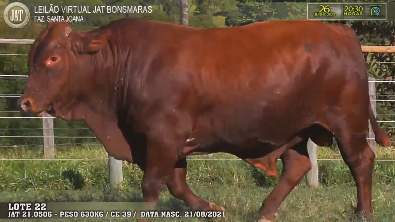 VideoScreenshot--YouTube-LOTE022-0’21”