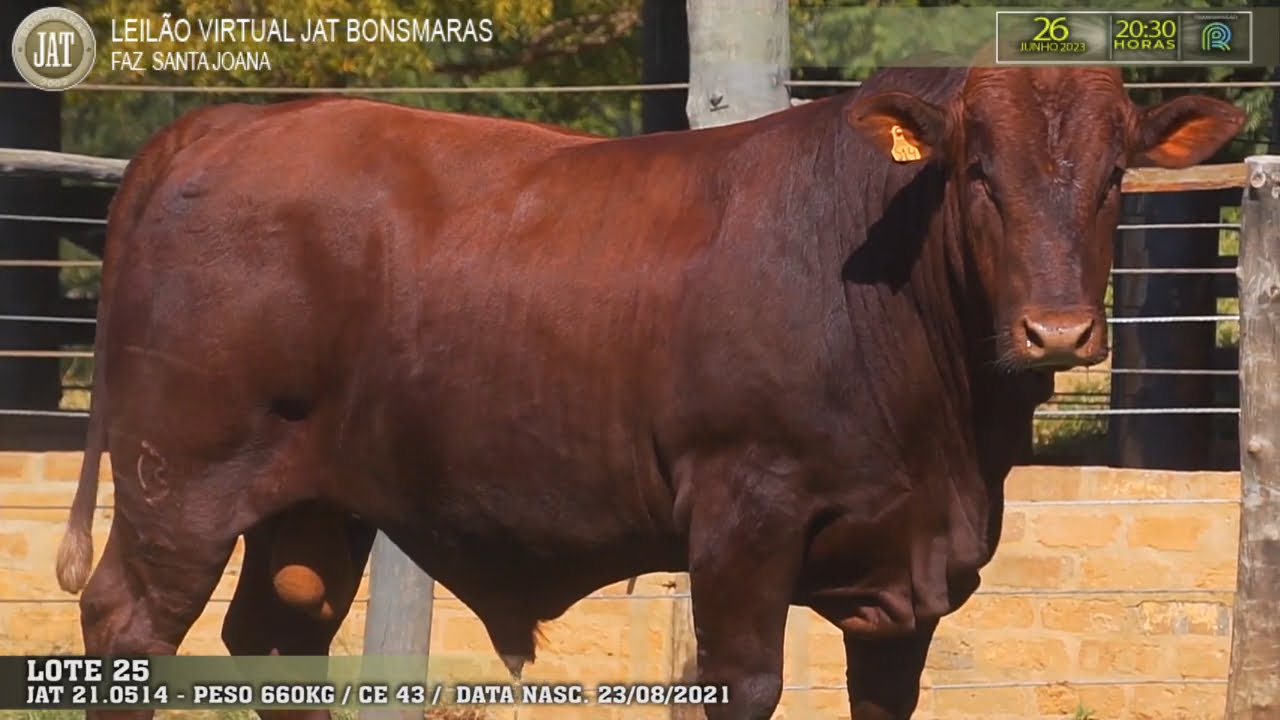 VideoScreenshot--YouTube-LOTE025-0’02”