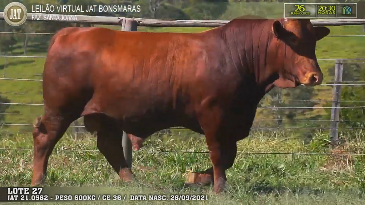 VideoScreenshot--YouTube-LOTE027-0’01”