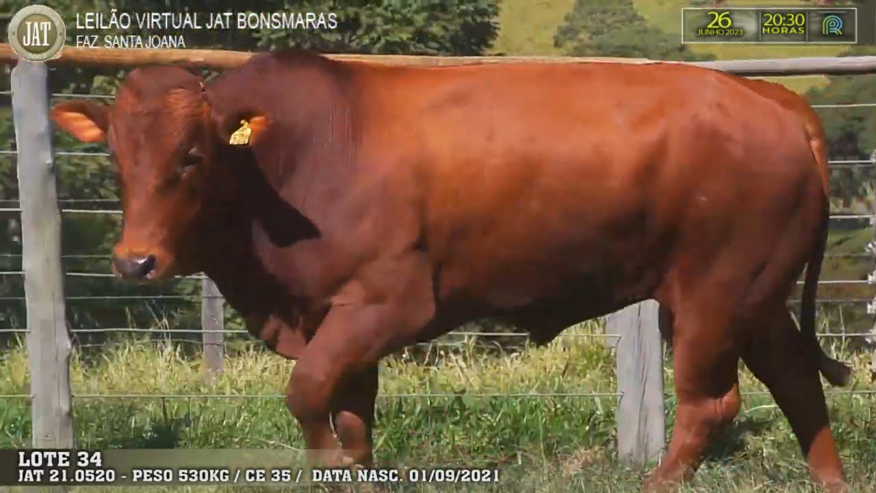 VideoScreenshot--YouTube-LOTE034-0’02”